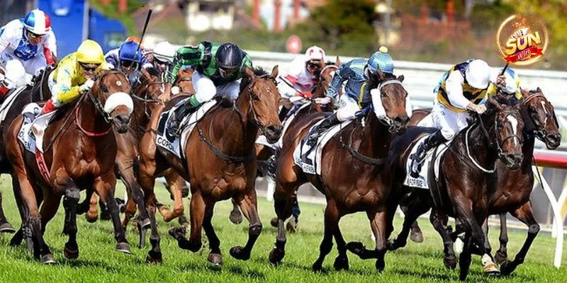 Mẹo Cá Cược Đua Ngựa Sunwin: Cược Thắng, Ăn Tiền Liền Tay 14 Mẹo Cá Cược Đua Ngựa Sunwin: Cược Thắng, Ăn Tiền Liền Tay