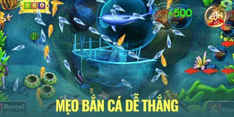 Mẹo Bắn Cá Ăn Đậm, Trúng Lớn Như Cao Thủ Sunwin 13 Mẹo Bắn Cá Ăn Đậm, Trúng Lớn Như Cao Thủ Sunwin